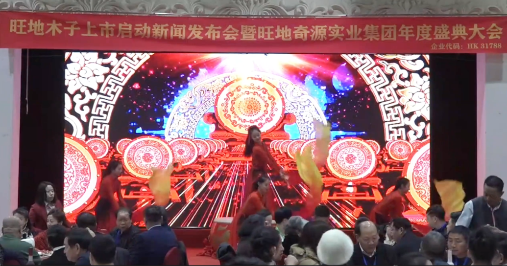 旺地奇源实业集团年度盛典大会
